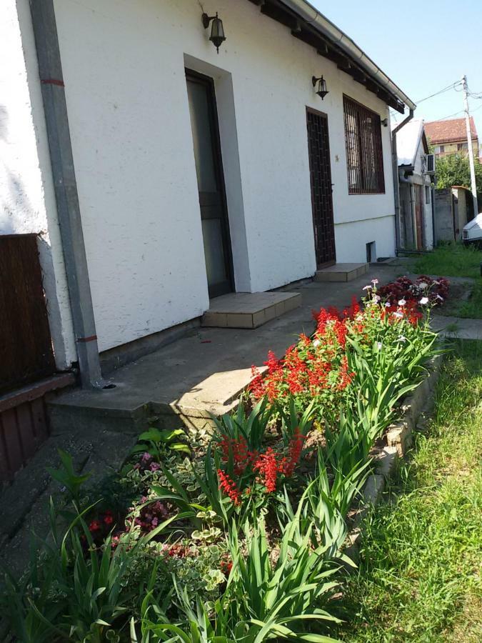 Apartman Romy Pančevo Extérieur photo